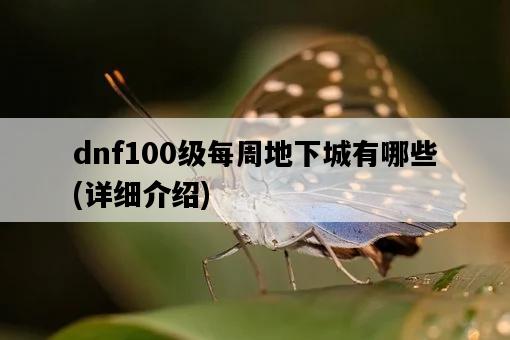 dnf100級每周地下城有哪些，詳細介紹-圖1