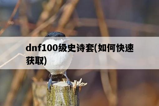 dnf100級史詩套，如何快速獲取-圖1