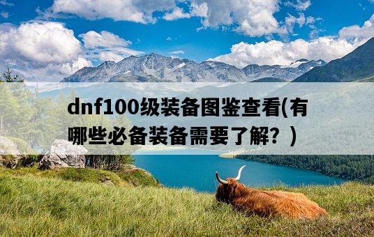 dnf100級裝備圖鑒查看，有哪些必備裝備需要了解？-圖1
