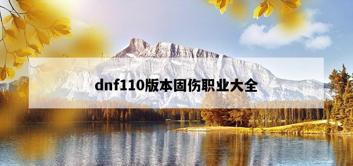 dnf110版本固傷職業大全-圖1