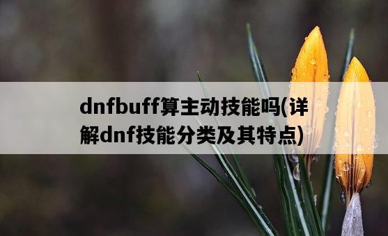 dnfbuff算主動技能嗎，詳解dnf技能分類及其特點-圖1