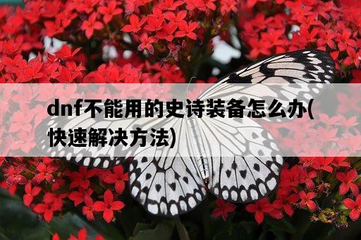 dnf不能用的史詩裝備怎么辦，快速解決方法-圖1