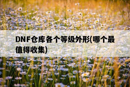 DNF倉庫各個等級外形，哪個最值得收集-圖1