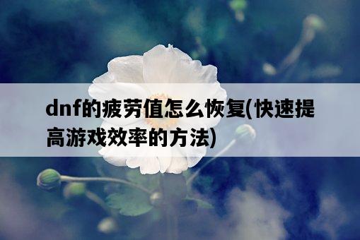 dnf的疲勞值怎么恢復，快速提高游戲效率的方法-圖1