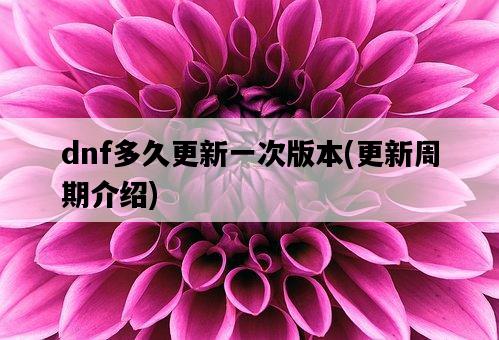 dnf多久更新一次版本，更新周期介紹-圖1