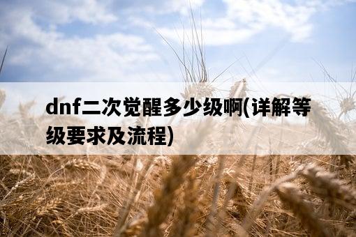 dnf二次覺醒多少級啊,詳解等級要求及流程-圖1 dnf二次覺醒多少級啊,詳解等級要求及流程-圖1