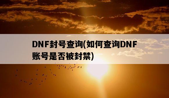 DNF封號查詢，如何查詢DNF賬號是否被封禁-圖1