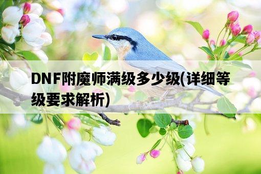 DNF附魔師滿級多少級,詳細等級要求解析-圖1 DNF附魔師滿級多少級,詳細等級要求解析-圖1