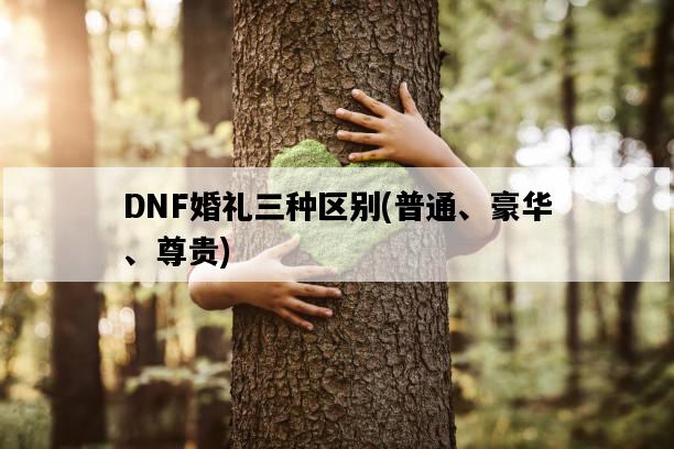 DNF婚禮三種區別，普通、豪華、尊貴-圖1