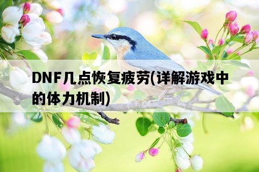 DNF幾點恢復疲勞，詳解游戲中的體力機制-圖1