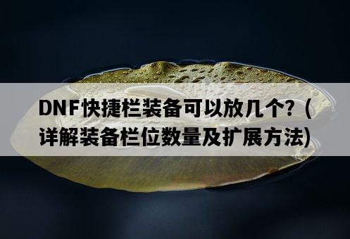 DNF快捷欄裝備可以放幾個？，詳解裝備欄位數量及擴展方法-圖1