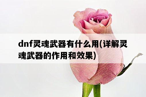 dnf靈魂武器有什么用，詳解靈魂武器的作用和效果-圖1