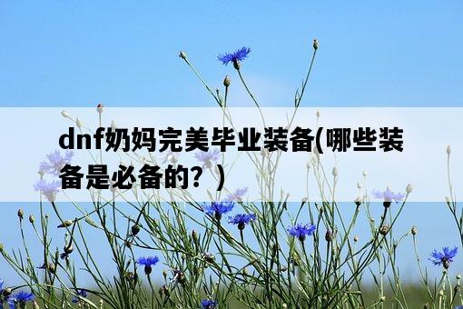dnf奶媽完美畢業裝備，哪些裝備是必備的？-圖1