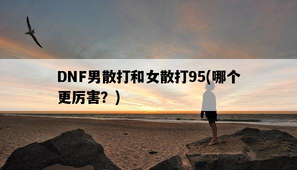 DNF男散打和女散打95，哪個更厲害？-圖1
