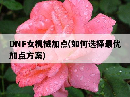 DNF女機械加點，如何選擇最優加點方案-圖1