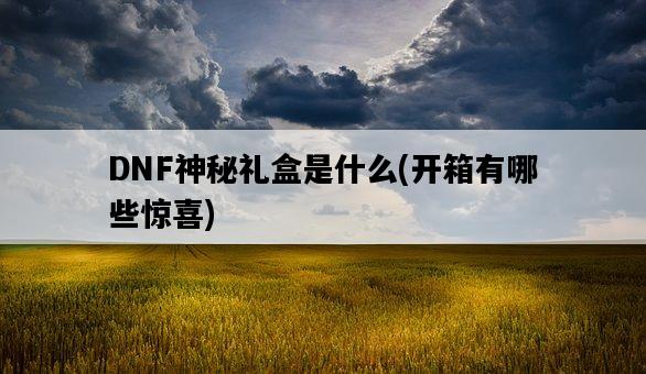 DNF神秘禮盒是什么，開箱有哪些驚喜-圖1