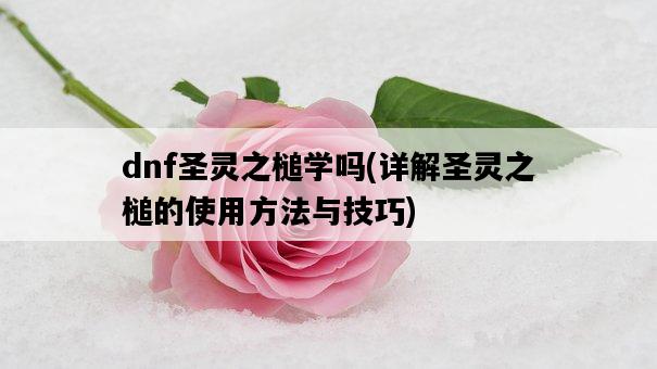 dnf圣靈之槌學嗎,詳解圣靈之槌的使用方法與技巧-圖1 dnf圣靈之槌學嗎,詳解圣靈之槌的使用方法與技巧-圖1