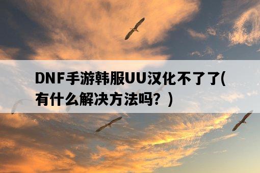DNF手游韓服UU漢化不了了，有什么解決方法嗎？-圖1