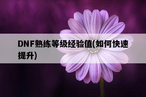 DNF熟練等級經驗值，如何快速提升-圖1
