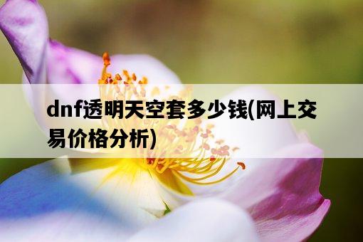 dnf透明天空套多少錢，網上交易價格分析-圖1