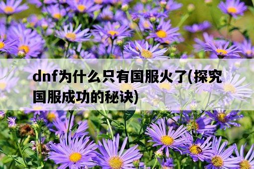 dnf為什么只有國服火了，探究國服成功的秘訣-圖1