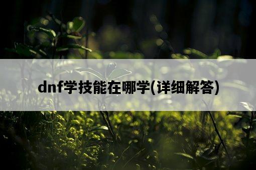 dnf學技能在哪學，詳細解答-圖1