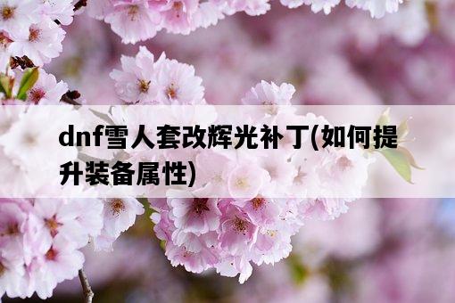 dnf雪人套改輝光補丁，如何提升裝備屬性-圖1