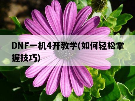 DNF一機4開教學，如何輕松掌握技巧-圖1