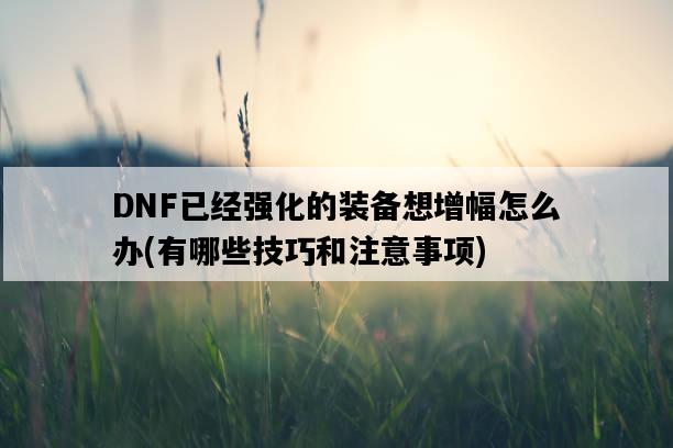 DNF已經強化的裝備想增幅怎么辦，有哪些技巧和注意事項-圖1