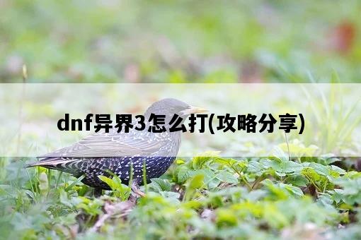 dnf異界3怎么打，攻略分享-圖1