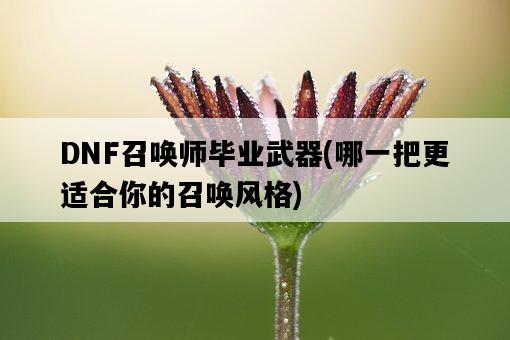 DNF召喚師畢業武器，哪一把更適合你的召喚風格-圖1