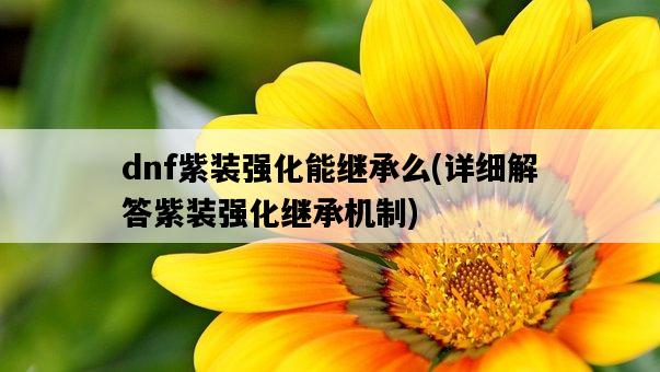 dnf紫裝強化能繼承么，詳細解答紫裝強化繼承機制-圖1