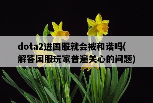 dota2進國服就會被和諧嗎，解答國服玩家普遍關心的問題-圖1
