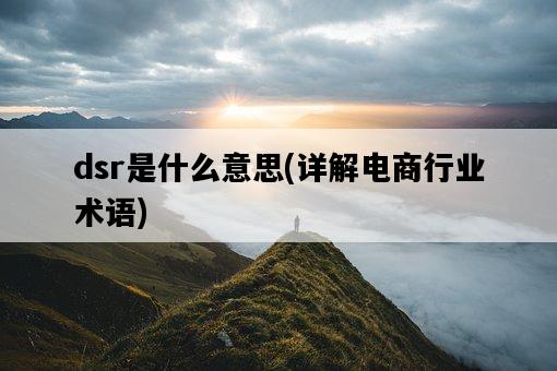 dsr是什么意思，詳解電商行業術語-圖1