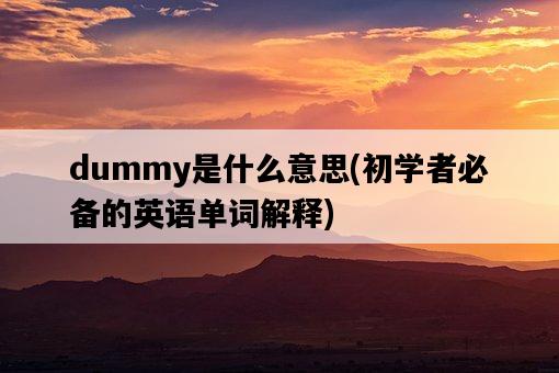 dummy是什么意思，初學者必備的英語單詞解釋-圖1