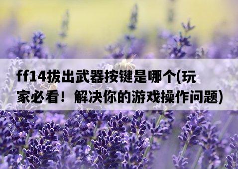 ff14拔出武器按鍵是哪個，玩家必看！解決你的游戲操作問題-圖1