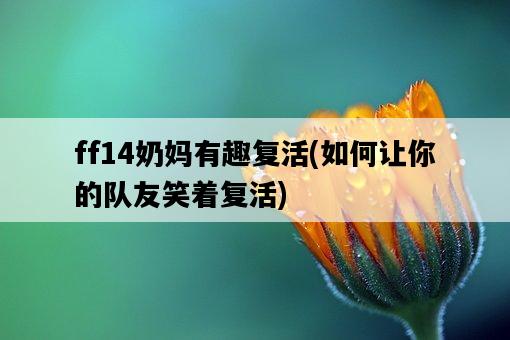 ff14奶媽有趣復活，如何讓你的隊友笑著復活-圖1