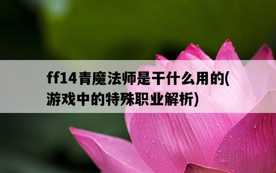 ff14青魔法師是干什么用的，游戲中的特殊職業解析-圖1