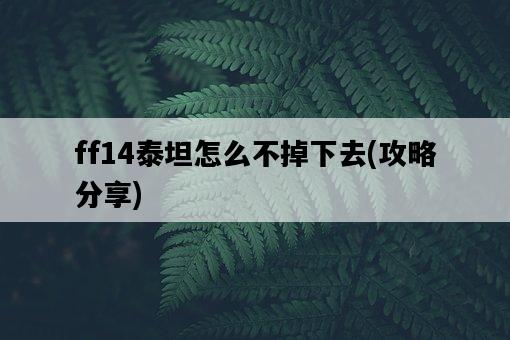 ff14泰坦怎么不掉下去，攻略分享-圖1