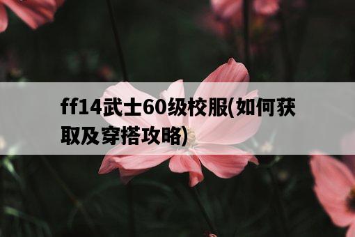 ff14武士60級校服，如何獲取及穿搭攻略-圖1