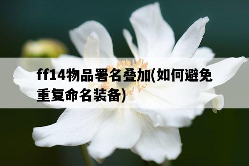 ff14物品署名疊加，如何避免重復命名裝備-圖1