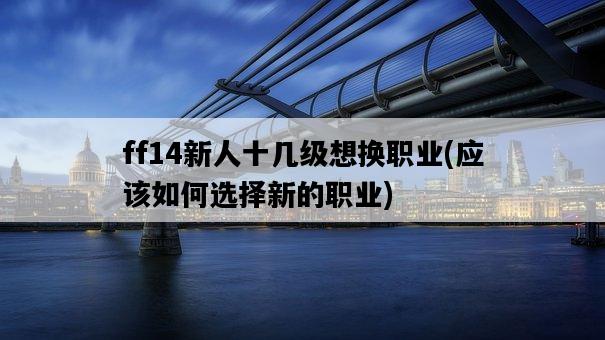 ff14新人十幾級想換職業，應該如何選擇新的職業-圖1