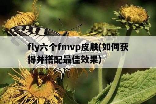 fly六個fmvp皮膚，如何獲得并搭配最佳效果-圖1