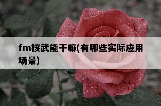 fm核武能干嘛，有哪些實際應用場景-圖1