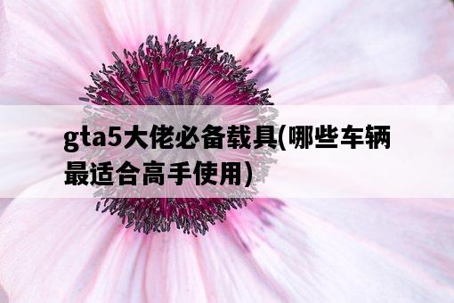 gta5大佬必備載具，哪些車輛最適合高手使用-圖1