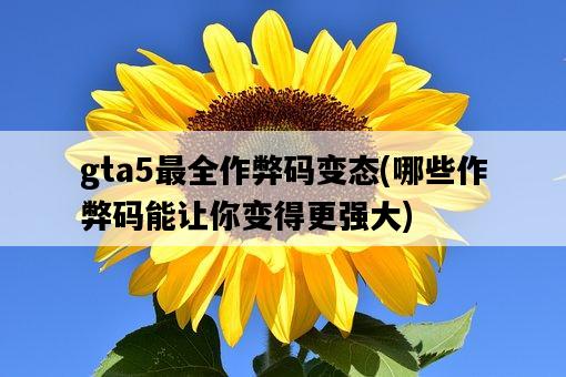 gta5最全作弊碼變態，哪些作弊碼能讓你變得更強大-圖1
