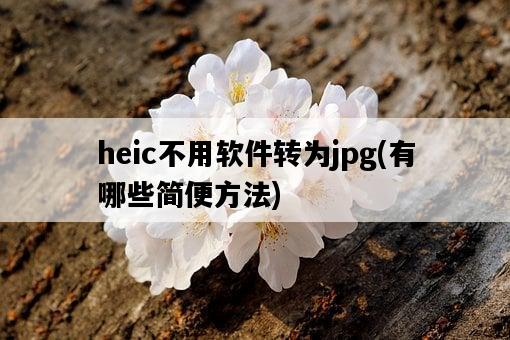 heic不用軟件轉為jpg，有哪些簡便方法-圖1