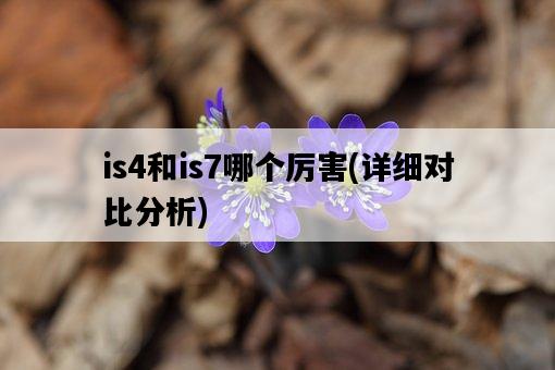 is4和is7哪個厲害，詳細對比分析-圖1