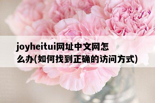 joyheitui網址中文網怎么辦，如何找到正確的訪問方式-圖1
