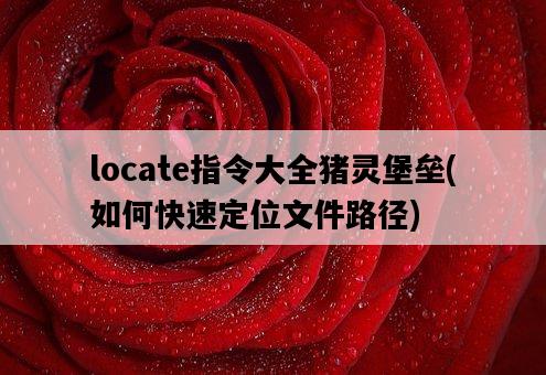 locate指令大全豬靈堡壘，如何快速定位文件路徑-圖1